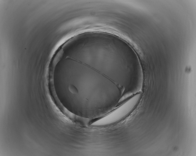 X0000097511522200802221455
