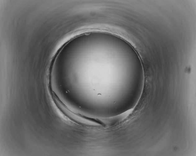 X0000097511523200802221455