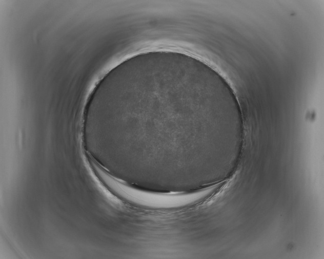 X0000097511525200802221455