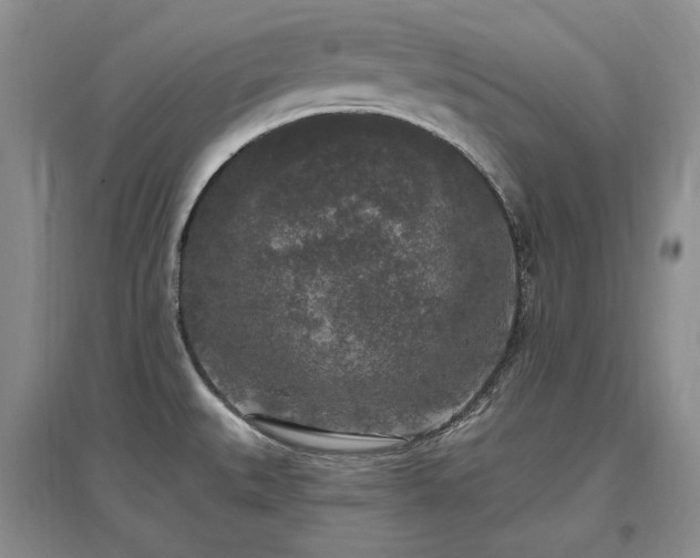 X0000097511527200802221455
