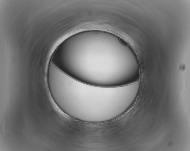 X0000097511528200802221455