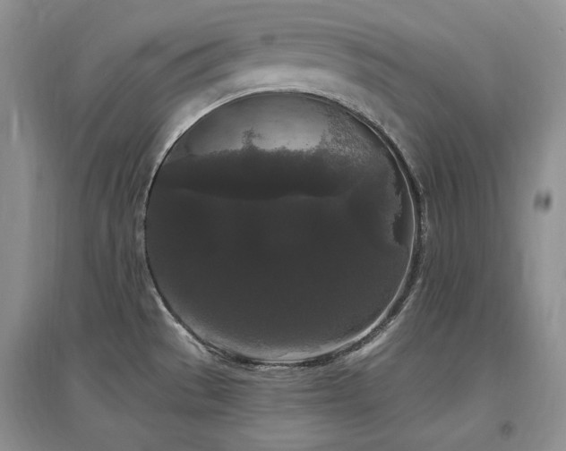 X0000097511529200802221455