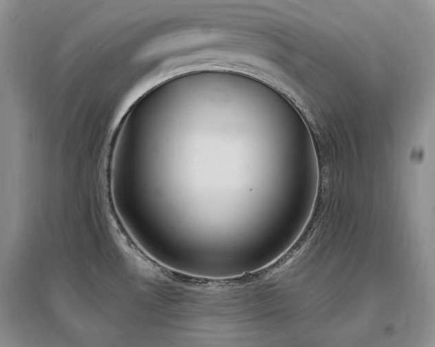X0000097511530200802221455