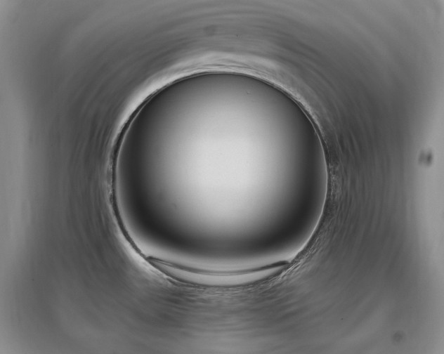 X0000097511531200802221455