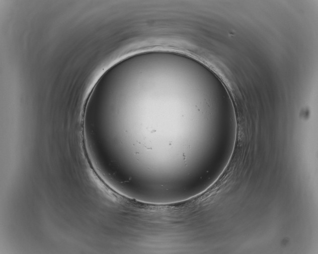 X0000097511532200802221455