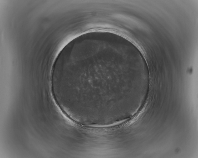 X0000097511533200802221455
