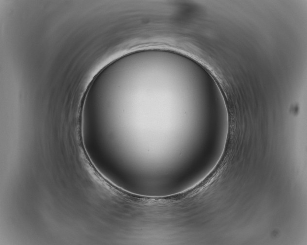 X0000097511534200802221455