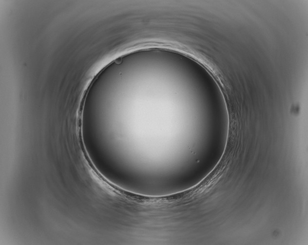 X0000097511535200802221455