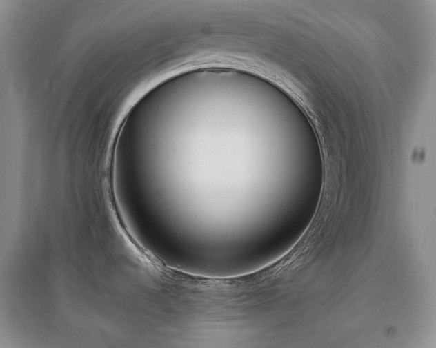 X0000097511536200802221455
