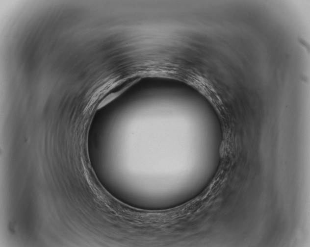 X0000097510001200802291628