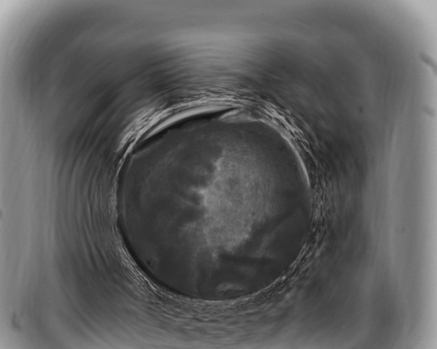 X0000097510002200802291628