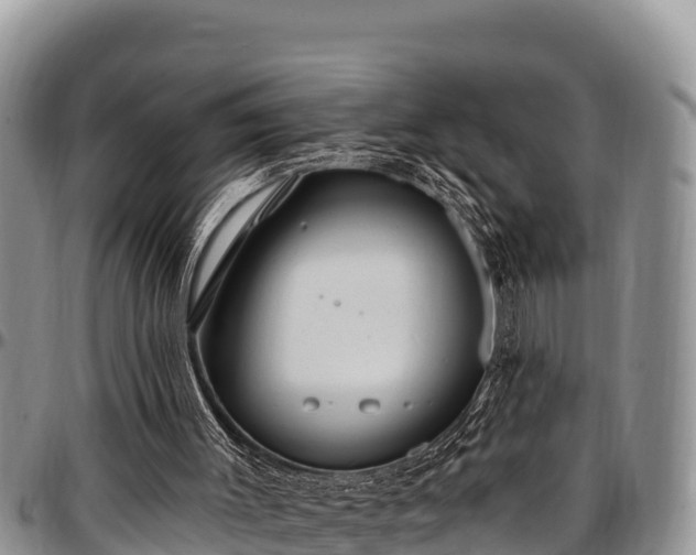 X0000097510003200802291628