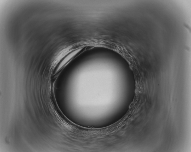 X0000097510005200802291628