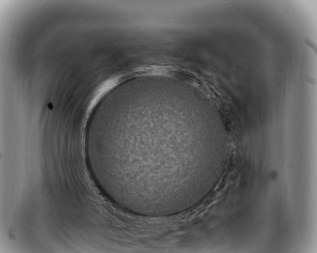 X0000097510006200802291628