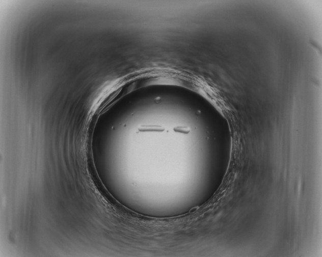 X0000097510007200802291628