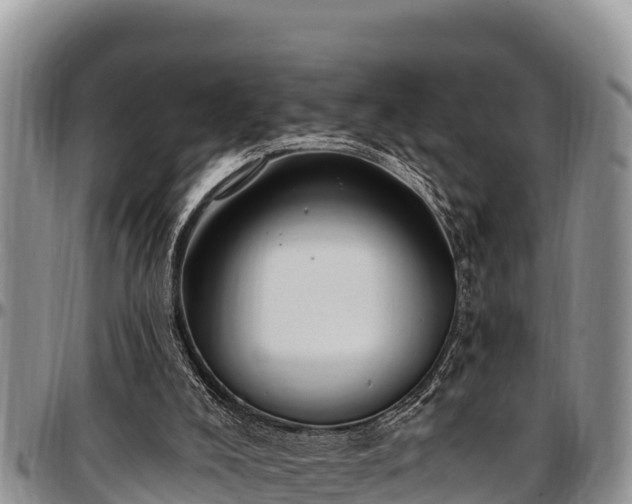 X0000097510008200802291628