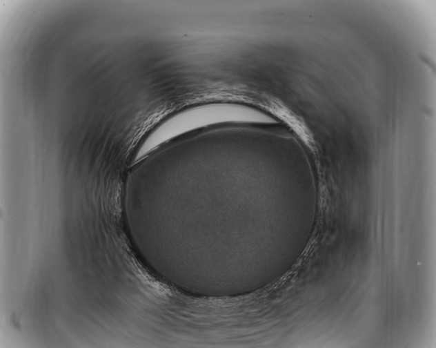 X0000097510009200802291628