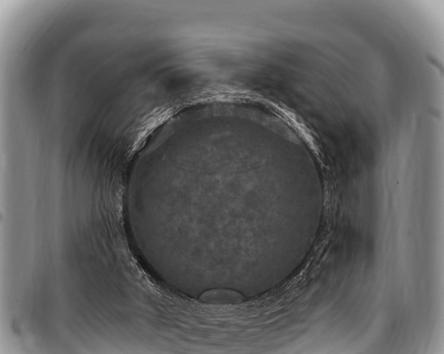 X0000097510010200802291628