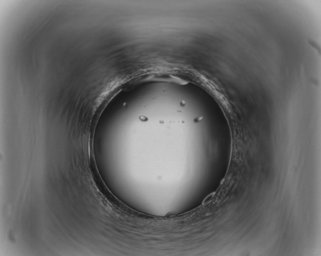 X0000097510011200802291628