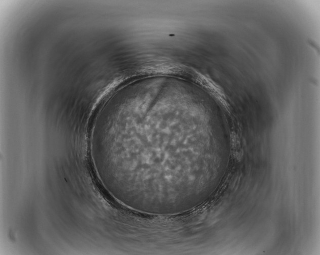 X0000097510012200802291628