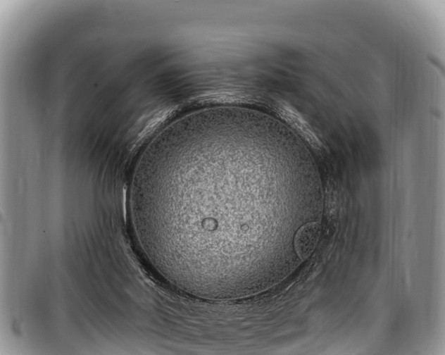 X0000097510014200802291628