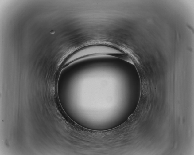 X0000097510015200802291628