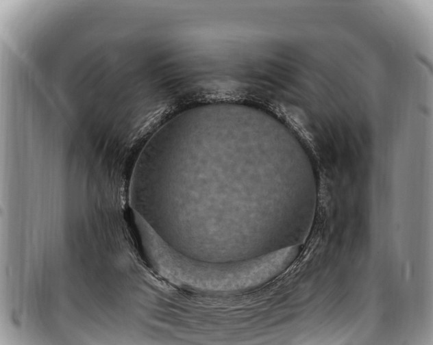 X0000097510017200802291628