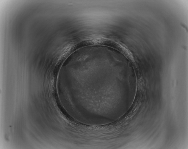 X0000097510018200802291628