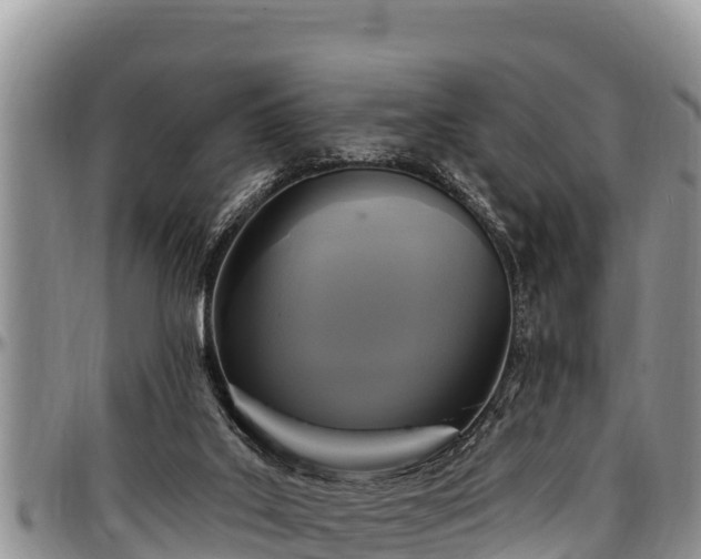 X0000097510019200802291628