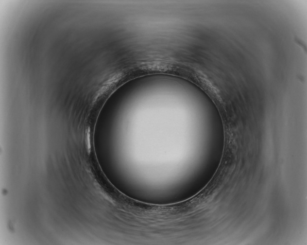 X0000097510020200802291628