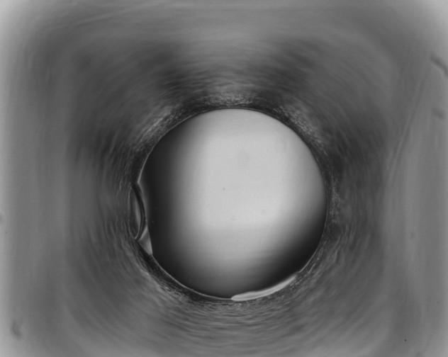 X0000097510021200802291628