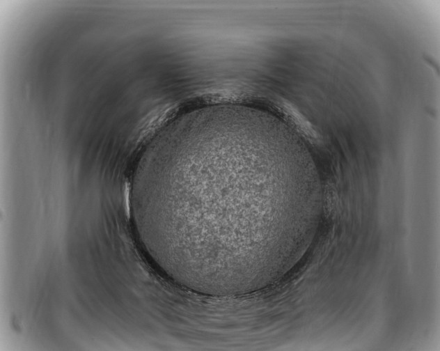 X0000097510022200802291628