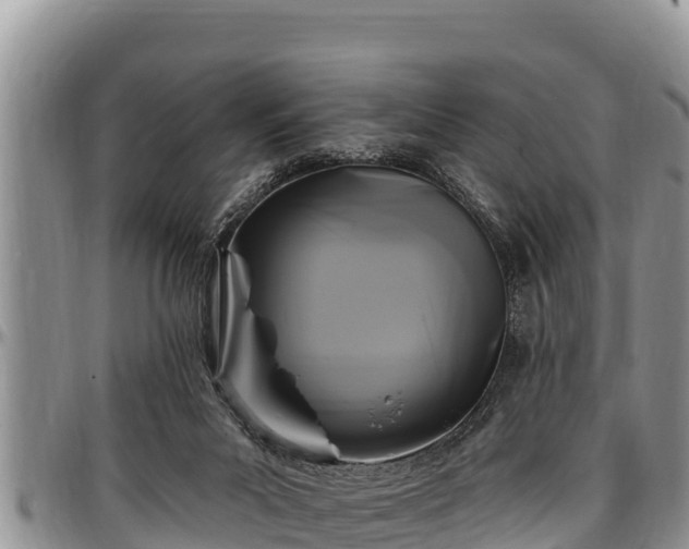 X0000097510023200802291628