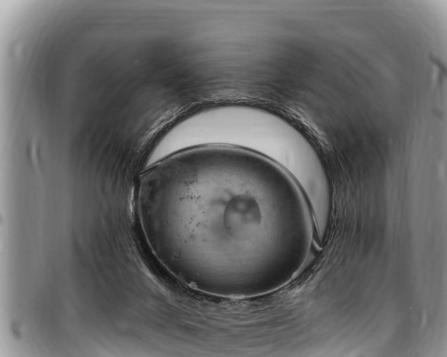 X0000097510024200802291628