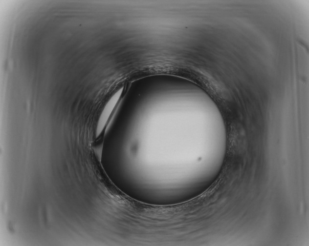 X0000097510025200802291628