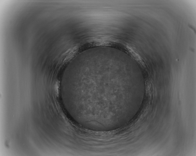 X0000097510026200802291628