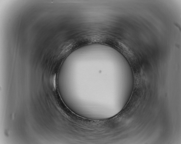 X0000097510028200802291628