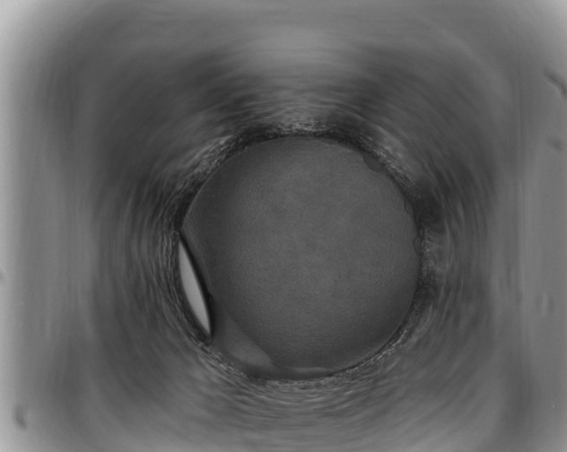 X0000097510029200802291628