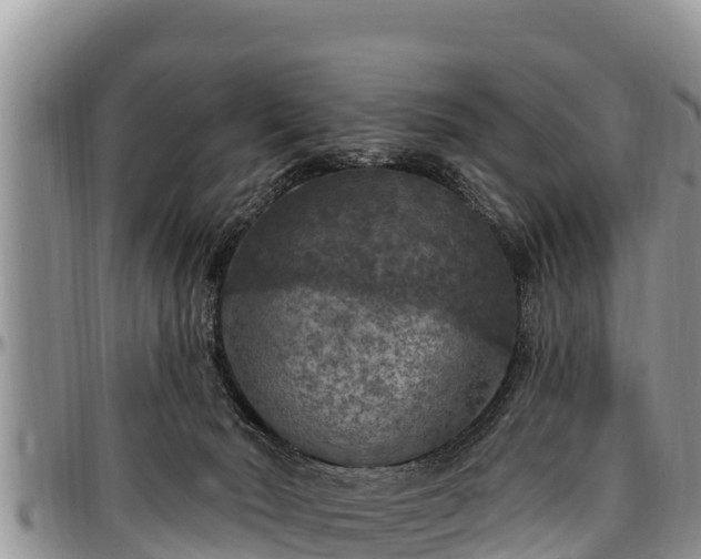 X0000097510030200802291628