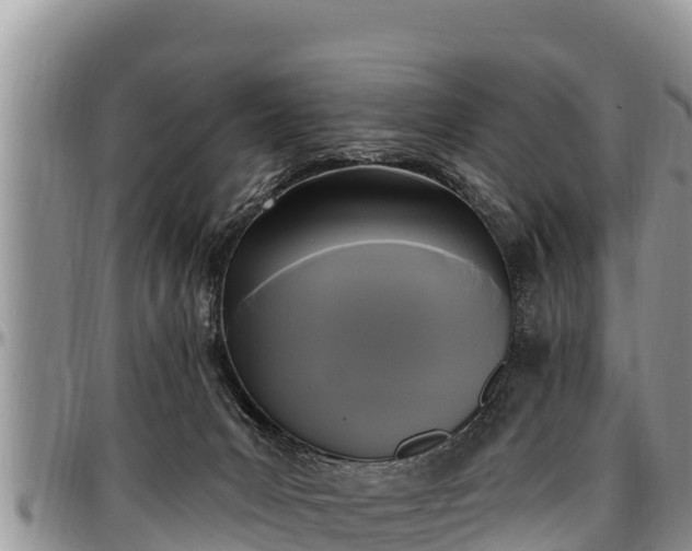 X0000097510031200802291628