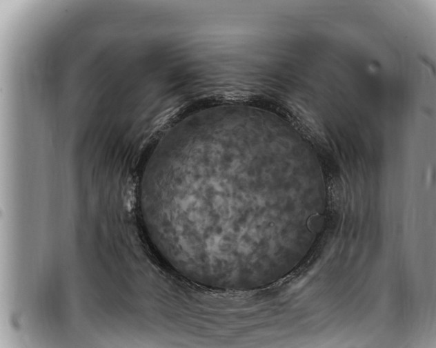 X0000097510032200802291628