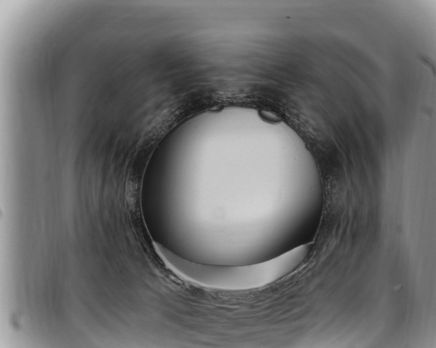 X0000097510033200802291628