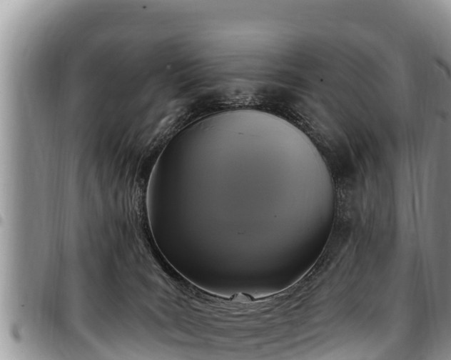 X0000097510035200802291628