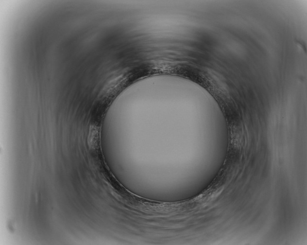 X0000097510036200802291628