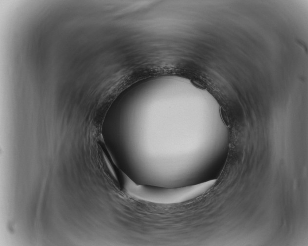 X0000097510037200802291628