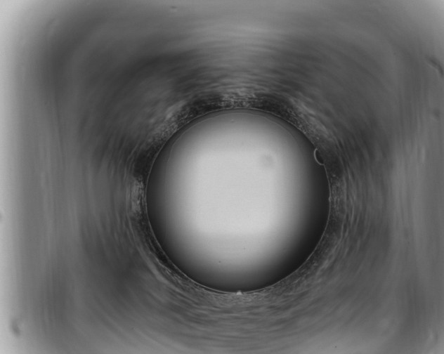 X0000097510038200802291628