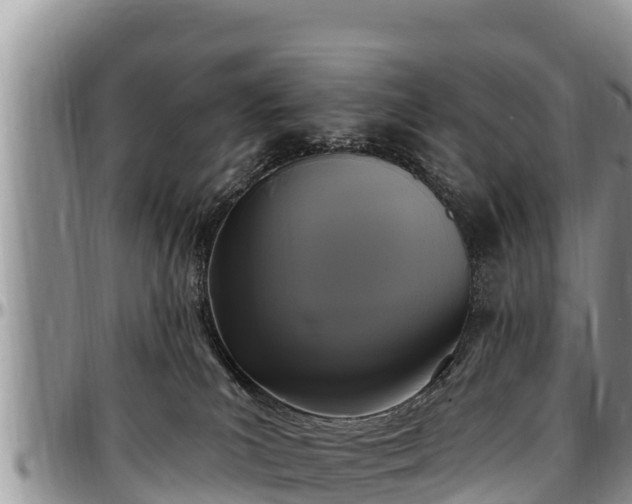 X0000097510039200802291628