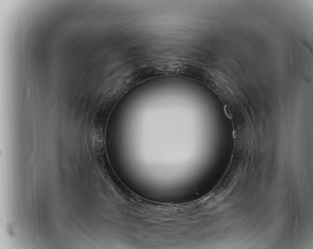 X0000097510040200802291628