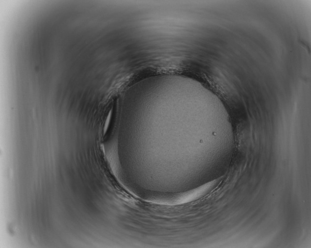 X0000097510041200802291628