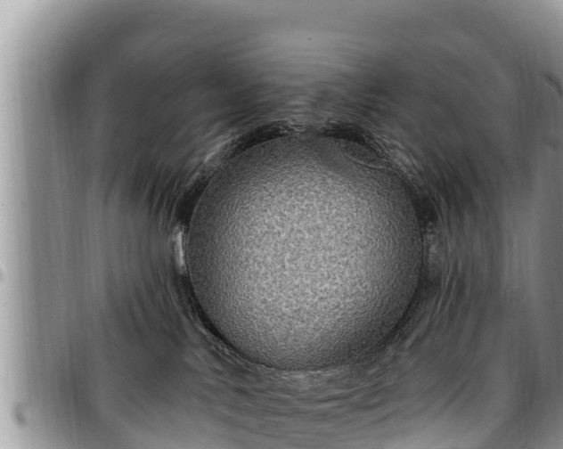 X0000097510042200802291628